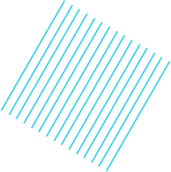 Decorativa 2